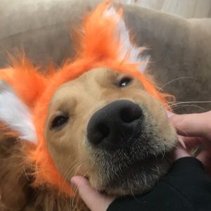 Meet your Posher, Catherine